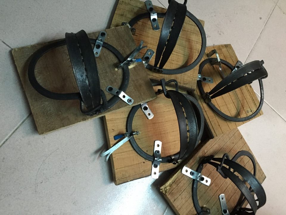 Bẫy chim cú mèo cho nhà yến