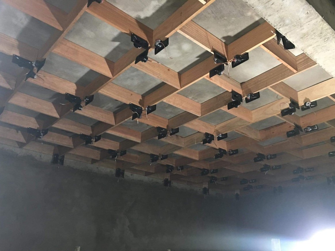 Ứng dụng của loa nhà yến: thu hút chim yến, kích thích sinh sản, tạo nền móng cho sự phát triển của đàn yến