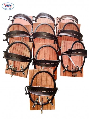 Hình ảnh sản phẩm Bẫy cú mèo cho nhà yến