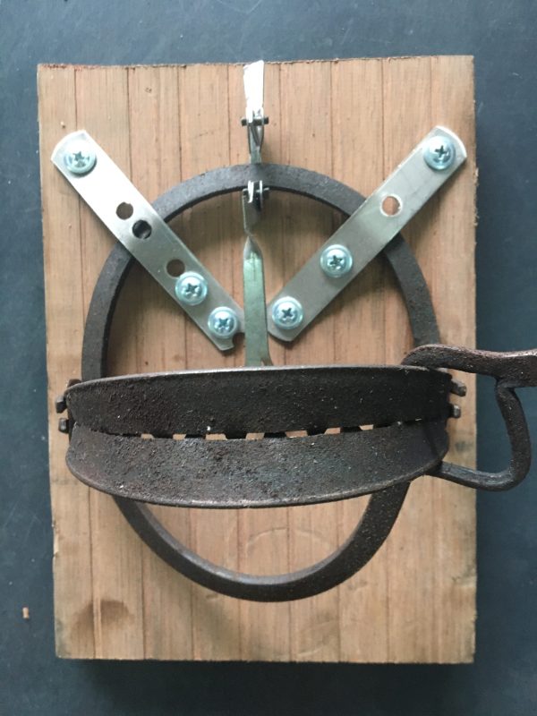 Mô tả sản phẩm Bẫy chim cú mèo nhà yến: công ty Yến Hoà Phát TP.HCM