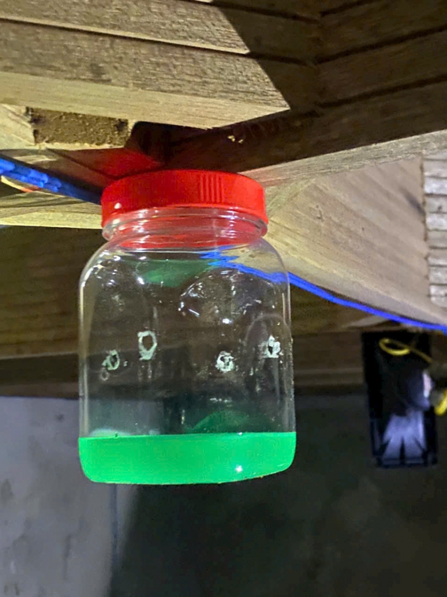 Công ty Yến Hoà Phát – Địa chỉ uy tín cung cấp Dung dịch tạo mùi nhà yến Love Potion 2L