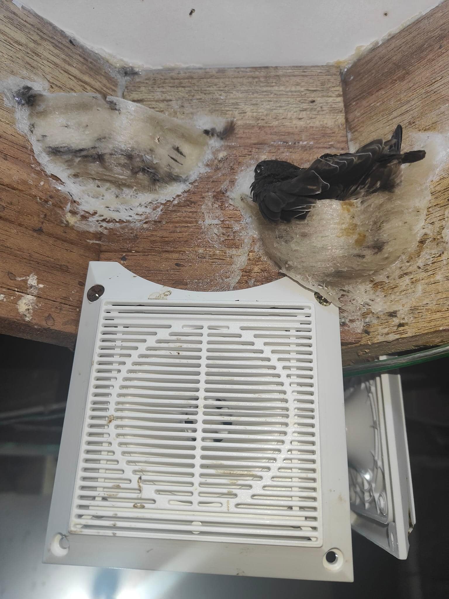 ĐỊA CHỈ CUNG CẤP THIẾT BỊ NHÀ YẾN UY TÍN CHẤT LƯỢNG