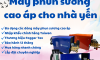 Máy phun sương cao áp nhà yến